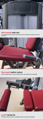 Commercial Dual Leg Extension / Curl Machine - Image 9