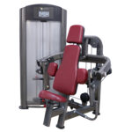 Pin-Loaded Biceps Curl Machine