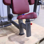 Pin-Loaded Biceps Curl Machine - Image 4