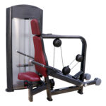 Seated Triceps Press Machine