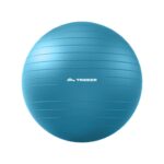 Physical Therapy Ball - Image 2