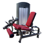 Dual Leg Curl & Leg Extension Machine