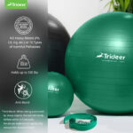 Physical Therapy Ball - Image 4