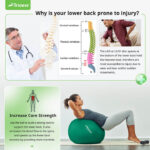 Physical Therapy Ball - Image 8