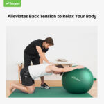 Physical Therapy Ball - Image 6