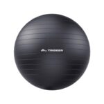 Pro Exercise Ball