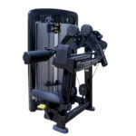 Standing Lateral Raise Machine