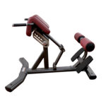 Adjustable Back Extension / Roman Bench - Image 5