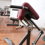Adjustable Back Extension / Roman Bench - Image 2
