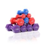 Colour Rubber Dumbbell (1&ndash;10kg)
