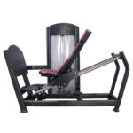 Seated 45-Degree Leg Press Machine