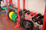 Rubber-Coated Dumbbell (2.5&ndash;50kg) - Image 2