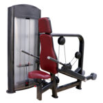 Commercial Triceps Press Machine